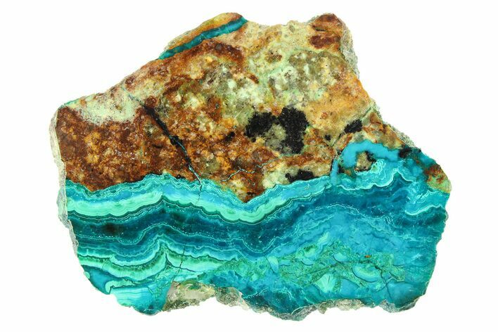 Polished Banded Chrysocolla and Malachite - Bagdad Mine, Arizona #298442